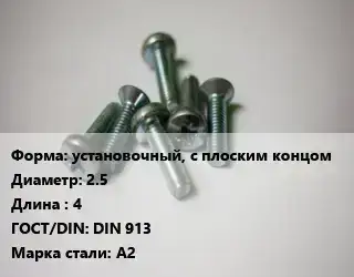 Винт установочный, с плоским концом 2.5х4 DIN 913 Сталь: А2